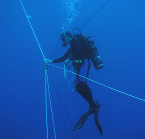 <p><strong>SF Fig. 9.4.</strong> (<strong>B</strong>) One diver coordinates the rope-pulley system called a “trapeze”.</p>
