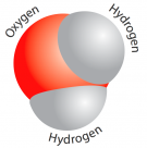 <p><strong>Fig. 1.4.</strong>&nbsp; A diagram of a water molecule. The circles represent atoms of elements.</p>