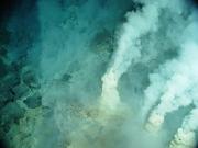 <p><strong>SF Fig. 2.3.</strong> (<strong>A</strong>) Deep sea hydrothermal vents are home to a variety of living organisms.</p>