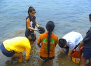 <p><strong>SF Fig. 2.6.</strong> (<strong>C</strong>) Students from local community group Nā Pua No‘eau remove invasive algae near the shoreline.</p>