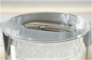 <p><strong>3.14B</strong>. A paperclip floating on water</p>