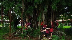 Dancers posed in and in front of tree