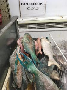 Local parrotfish for sale in Palauan supermarket