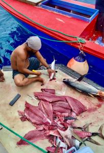 Fish sampling in the Marshall Islands. Garry Venus (World Bank) 