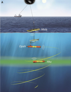 Two LRAUVs (Aku and Opah) and a Wave Glider (Mola) coordinated to study the DCM. 