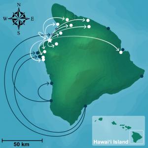 Hawai‘i Island larval dispersal (dark) and reef-fish catch distribution (white). Credit: Hixon,et al