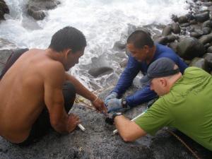 Community groups work together with scientists to understand ‘opihi by gathering data (R. Sylva)