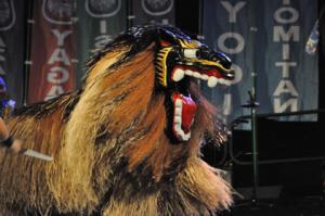 Hawai'i's newest Shisa (Okinawan Lion) "Shinkanyucha" makes her debut at the 2012 Eisa Festival.