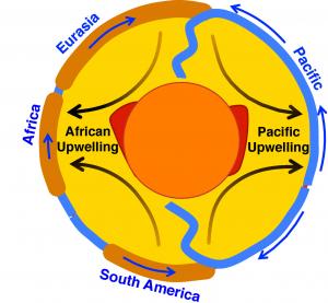 A slice through the Earth's mantle, cutting across major mantle upwelling locations (C. Conrad).