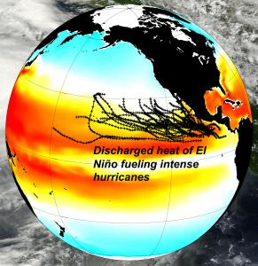 El Niño’s discharged heat fuels intense hurricanes (historical tracks in black). Credit: Jin/SOEST.