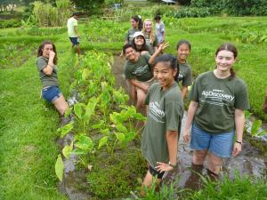 AgDiscovery students work in a lo'i.