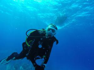 Anela Akiona diving.