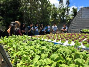 AgDiscovery students learn about hydroponics.