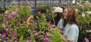 AgDiscovery students with UH CTAHR orchid researcher Dr. Tessie Amore (left).