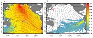 Tsunami amplitudes for (a) Mw 9.25 earthquake in E Aleutians, (b) Mw 8.05 earthquake in Lima, Peru.