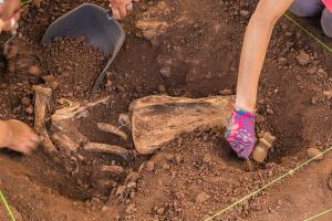 Human bones are uncovered in a field at West Oahu as part of the course.