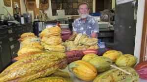 H.C. Bittenbender with cacao pods from his multi-site field trial