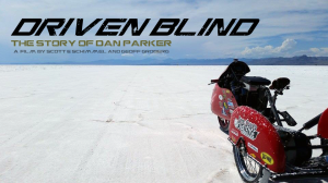 Driven Blind Poster