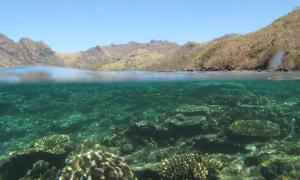 Ridge to reef ecosystem. Courtesy: Stacy Jupiter/WCS