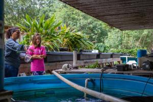 Ilima Ho-Lastimosa feeds fish in an aquaponics set-up, while Jane Chung-Do looks on.