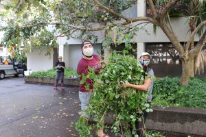 ʻElia and Kawehi holding a pile of invasive vines pulled from campus plant beds