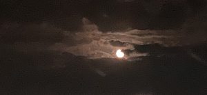 The yellowish full moon in the dark night sky slightly shrouded by a cloud
