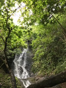 Hiʻilaniwai waterfall framed by green trees and with bright sunlight shining from behind
