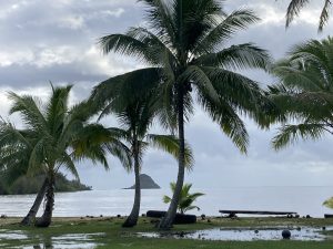 Shoreline of Hakipuʻu with puddles in the grass, gray skies, some coconut trees and a view of Mokoliʻi