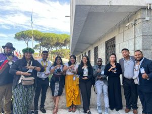 UN Global Indigenous Youth Caucus