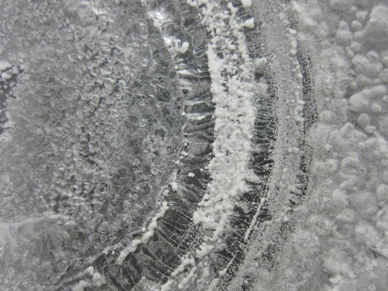 <p>Fig. 7.&nbsp;A close-up of salt rings on watch glass.</p>