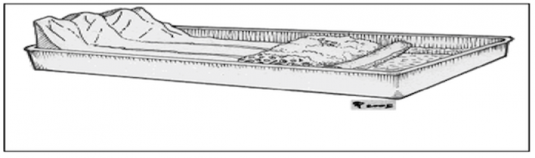 <p>Fig. 2. Students build a model of a wetland and explore itsʻ structure and function.</p>