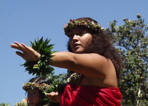 <p>Fig. 1. Hula is an important tradition of communication.</p>