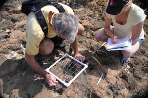<p>Fig. 2.&nbsp;Ecologists using a quadrat to sample and count intertidal organisms.</p><br />
