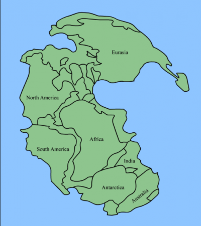 <p>Fig. 10. A visual representation of how the continents fit together to form one solid land mass, called Pangea.</p>