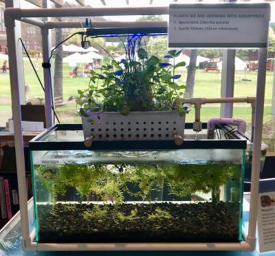 <p>Fig. 6. This simple aquaponics system is successful at cycling material between plants and animals.</p>