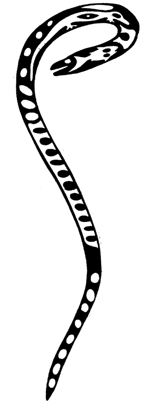 Image shows an art detail, done in black and white ink style, of an eel