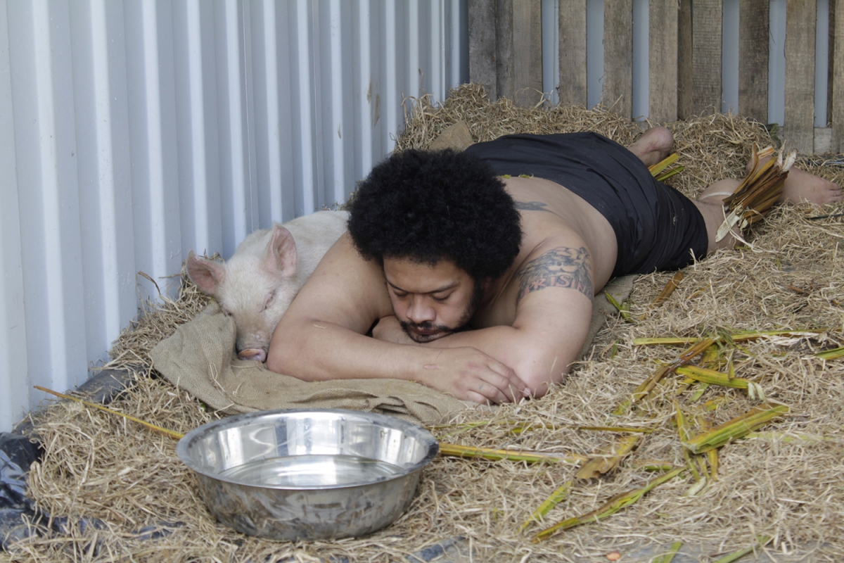 Image shows a photograph of TCP 31-1 featured artist Kalisolaite 'Uhila laying inside a shipping container, on a bed of straw, next to a small pig