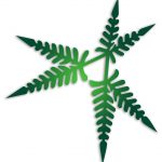 Our logo, an uluhe fern