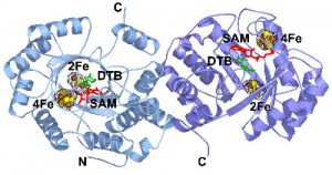 jtj-3