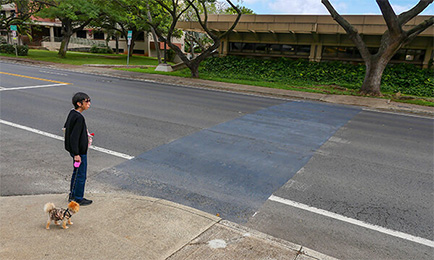 Lady and her dog standing near a painted over crosswalk on Dole Street