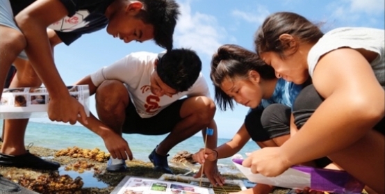 kids doing research at beach