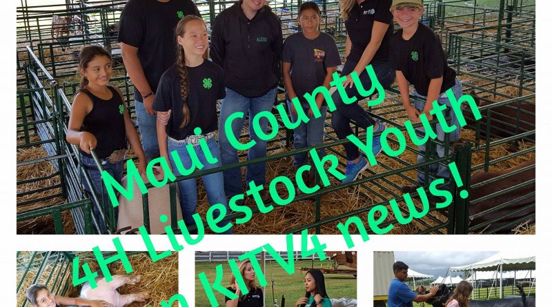 Maui County Youth at State Livestock Show