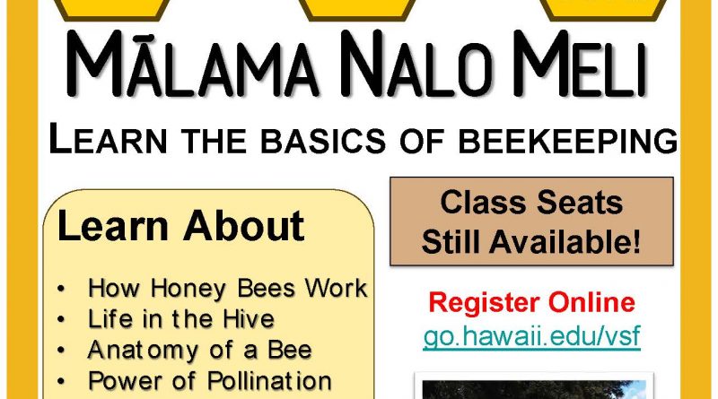 Bee Program Flyer