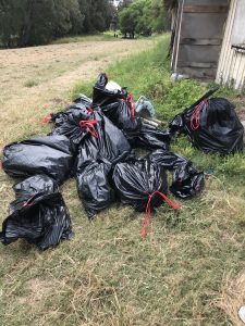 Bags of trash at 2019 Beach Clean Up