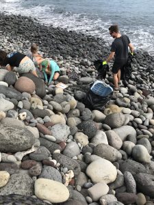 Removing trash from the rocks at the Waihee Dunes