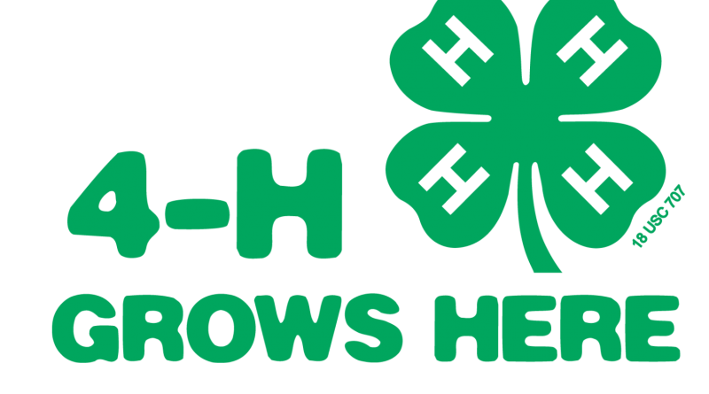 4-H Grows Logo
