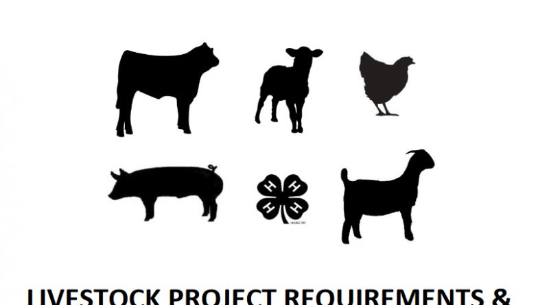 Livestock Policies Document Cover Image