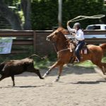 2022 State 4-H Horse Show Roping