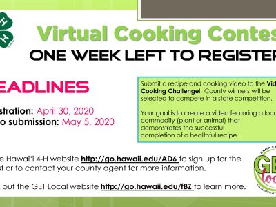 contest flyer with exteded registration deadline to april 30, 2020
