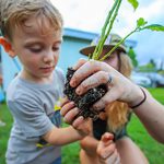 Keiki Agriculture Grows